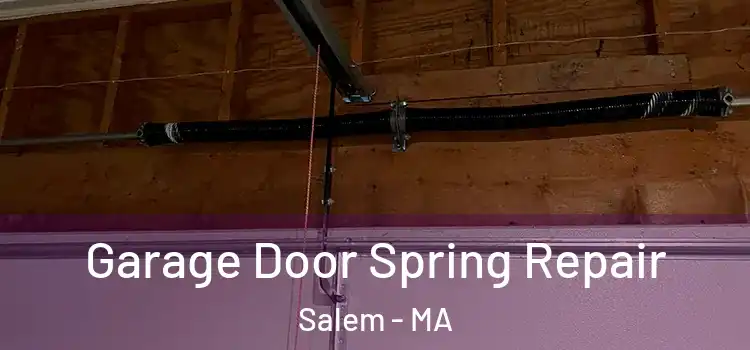  Garage Door Spring Repair Salem - MA