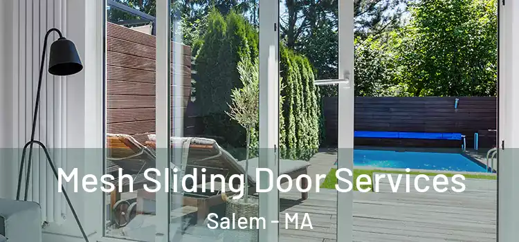 Mesh Sliding Door Services Salem - MA